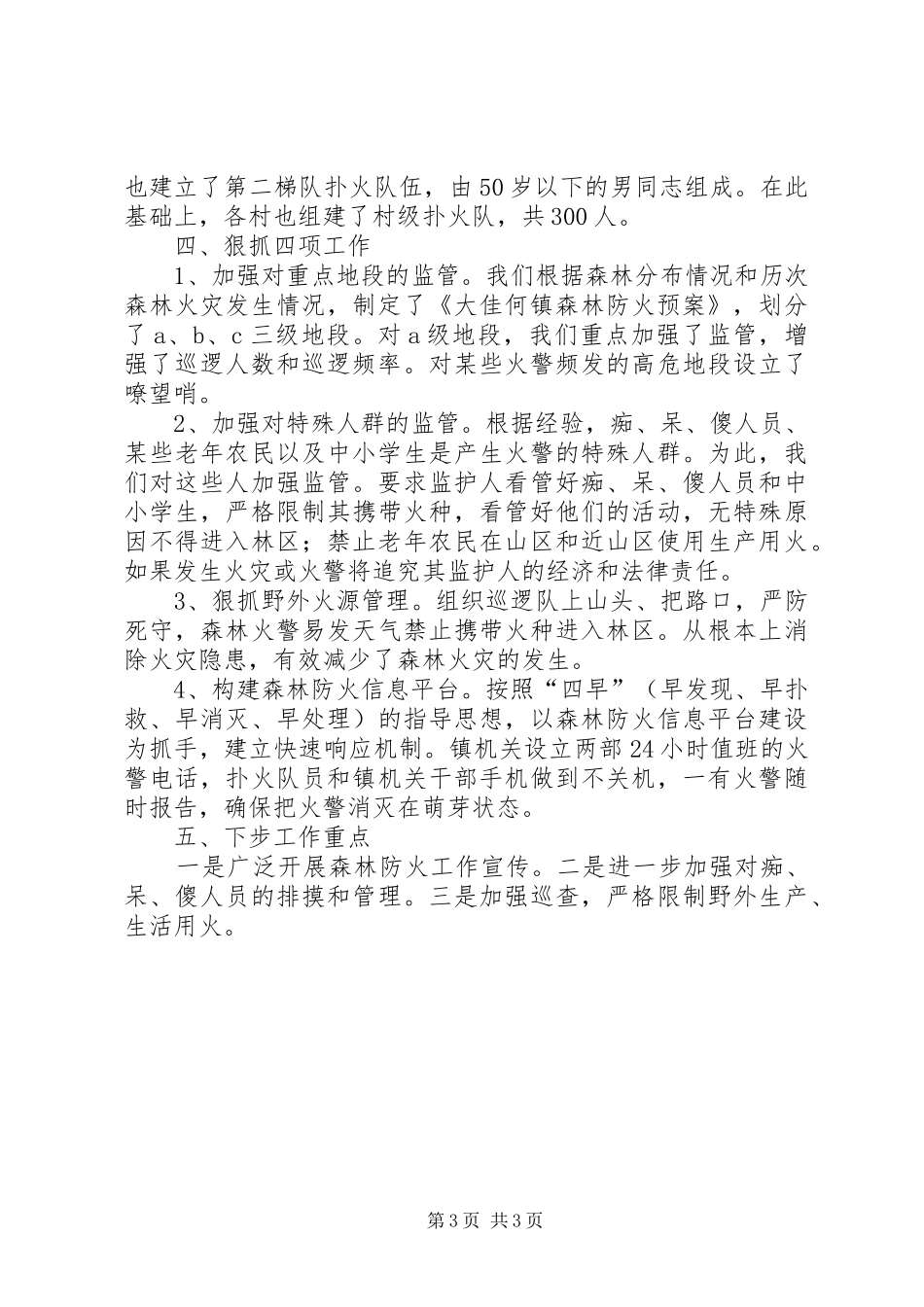 大佳何镇森林防火工作总结_第3页