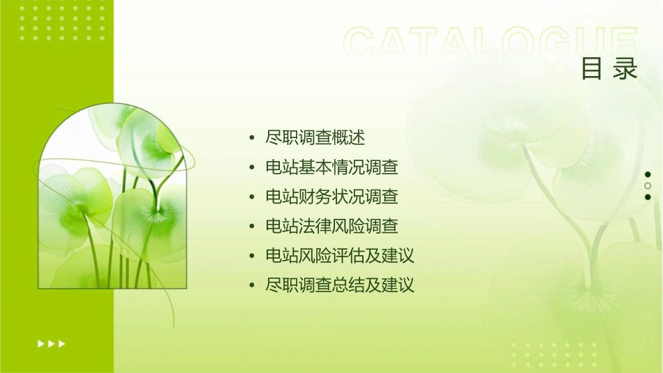 某电站尽职调查报告课件_第2页