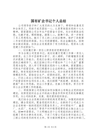 国有矿企书记个人总结