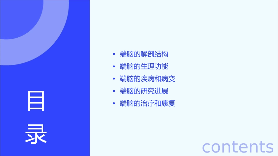 神经系统端脑(完整)课件_第2页