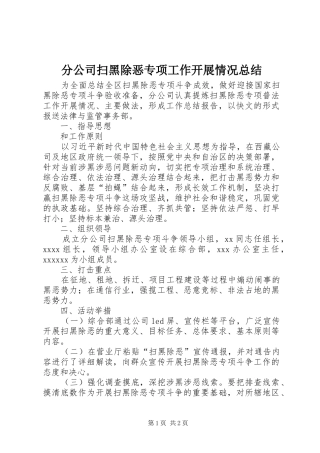 分公司扫黑除恶专项工作开展情况总结