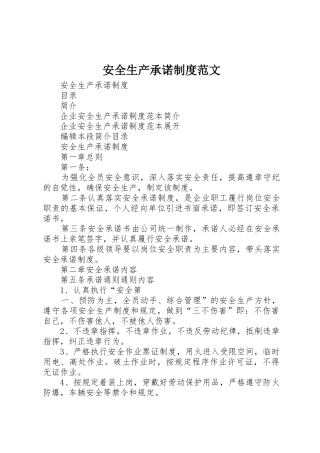 安全生产承诺规章制度细则范文