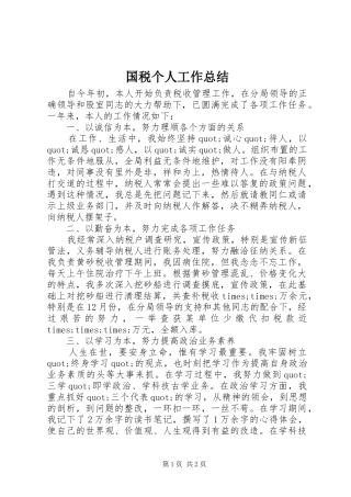 国税个人工作总结