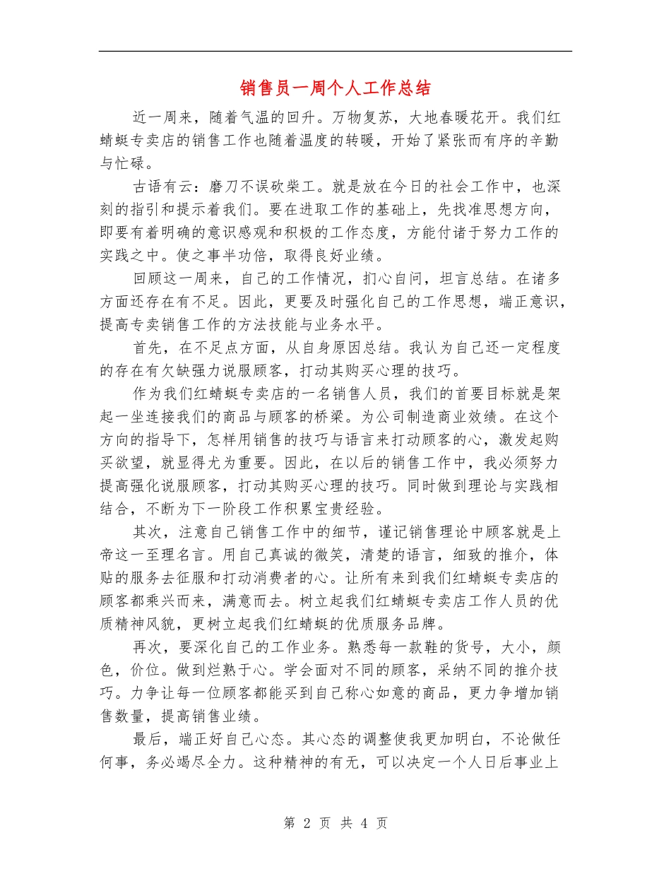 销售员一周个人工作总结_第2页