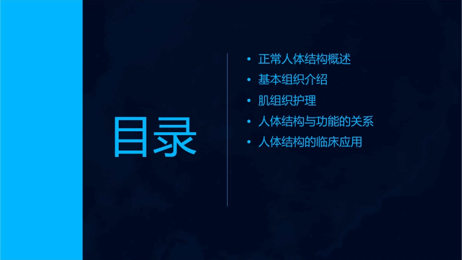 正常人体结构 基本组织肌组织护理课件_第2页