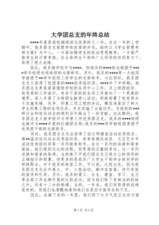 大学团总支的年终总结