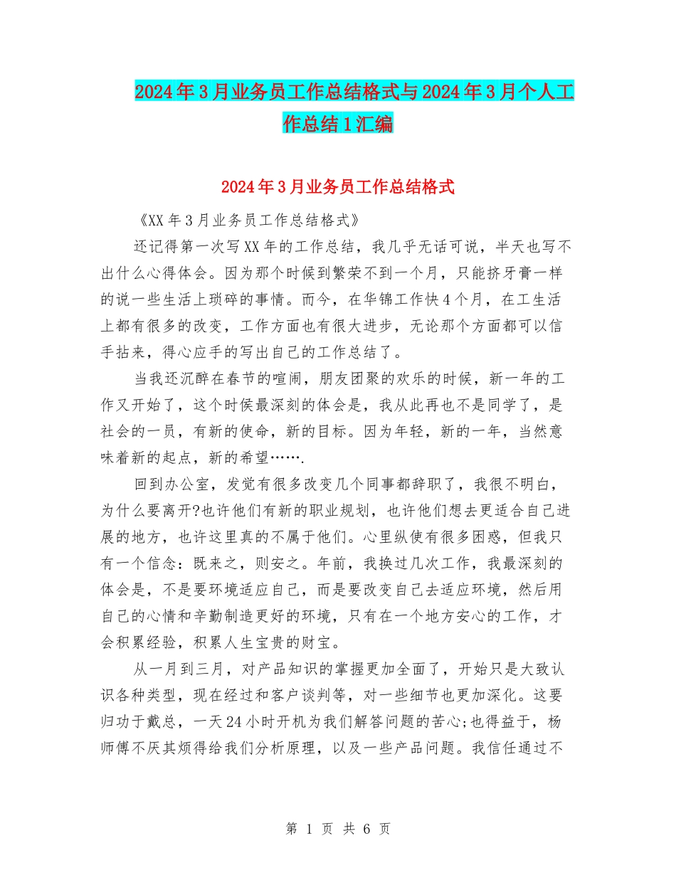 2024年3月业务员工作总结格式与2024年3月个人工作总结1汇编_第1页
