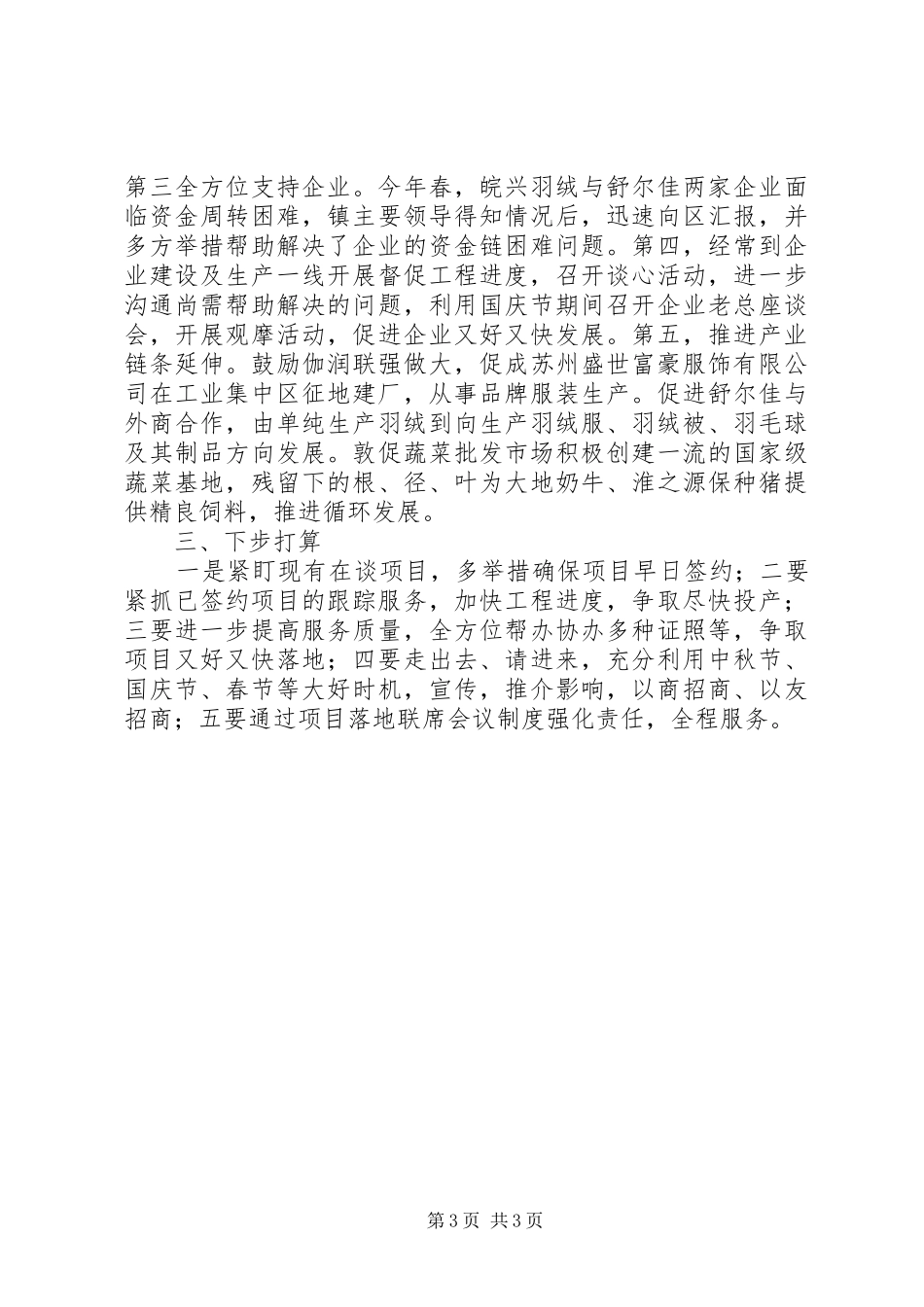 关于招商引资的工作总结_第3页