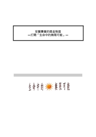 某某企业的奖金制度说明