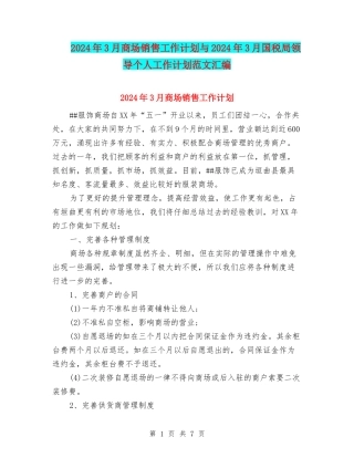2024年3月商场销售工作计划与2024年3月国税局领导个人工作计划范文汇编.doc