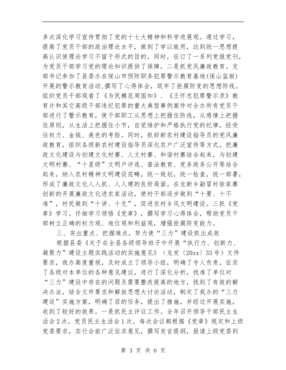 新农办党支部工作总结_第3页