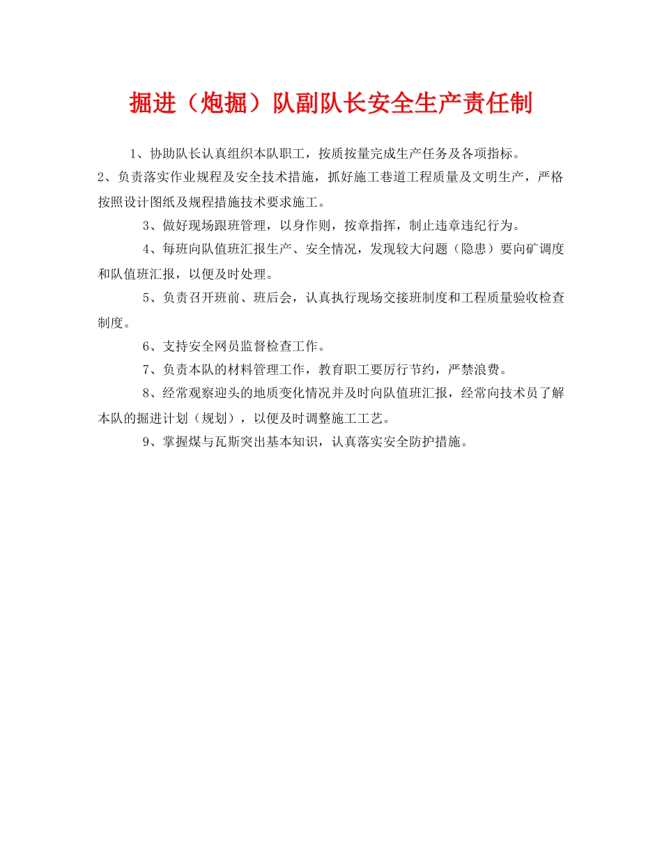 《安全管理制度》之掘进（炮掘）队副队长安全生产责任制 _第1页