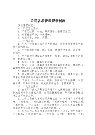 公司各项管理规章规章制度细则