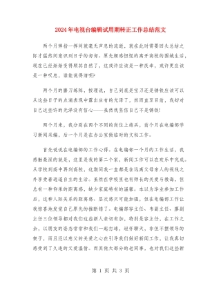 2024年电视台编辑试用期转正工作总结范文
