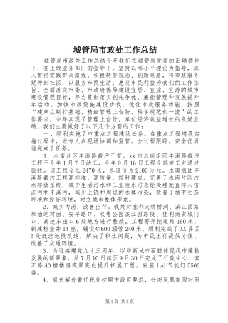 城管局市政处工作总结