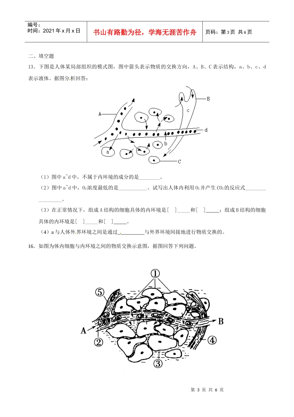 ：第1章《人体的内环境与稳态》单元模拟试题(1)(新人教版必修3)_第3页
