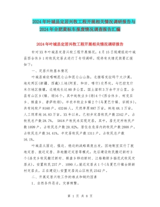 2024年叶城县定居兴牧工程开展相关情况调研报告与2024年合肥黄标车报废情况调查报告汇编