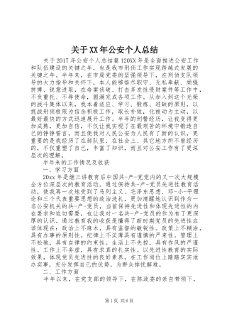 关于XX年公安个人总结