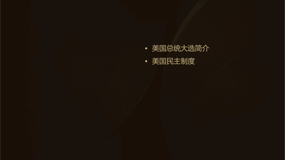 美国总统大选与民主课件_第2页