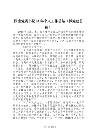 国企党委书记XX年个人工作总结（抓党建总结）
