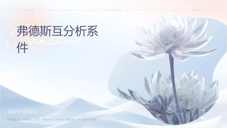 弗兰德斯互动分析系统课件_第1页