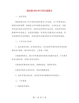 综合组2024年工作计划范文