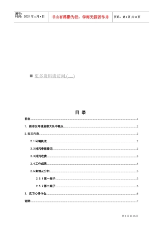 新市区环境监察大队实习范本