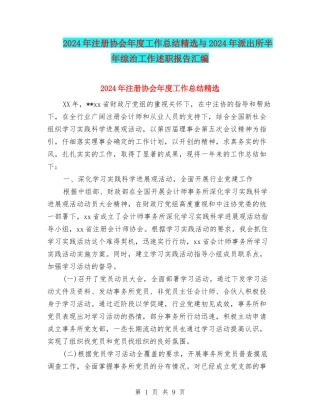 2024年注册协会年度工作总结精选与2024年派出所半年综治工作述职报告汇编