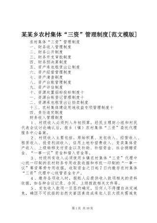 某某乡农村集体“三资”管理规章制度[范文模版] 