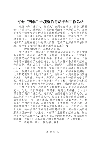 打击“两非”专项整治行动半年工作总结
