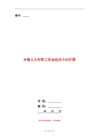乡镇人大年终工作总结及今后打算