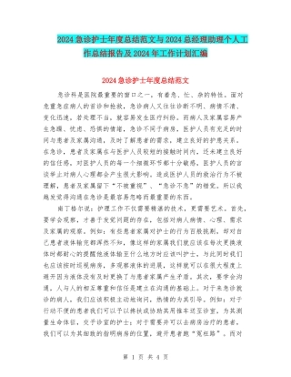 2024急诊护士年度总结范文与2024总经理助理个人工作总结报告及2024年工作计划汇编