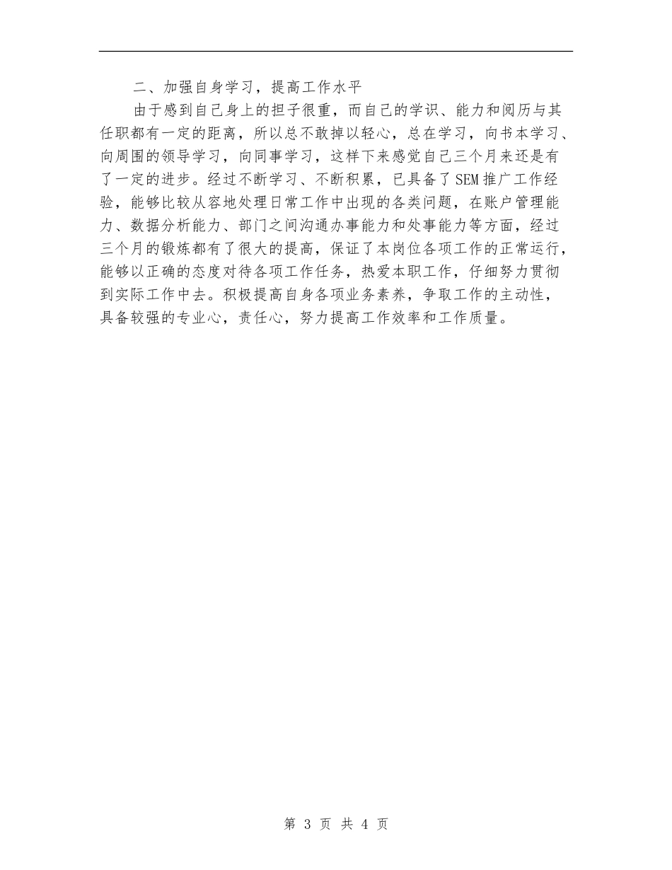 公司竞价工作总结及工作计划_第3页