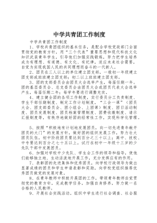 中学共青团工作规章制度