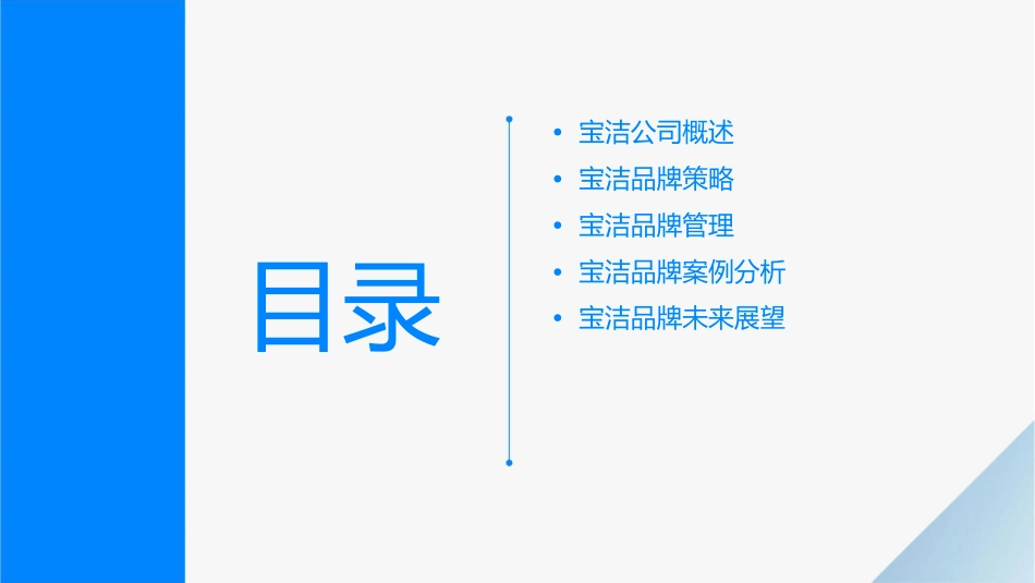 宝洁品牌策略课件_第2页