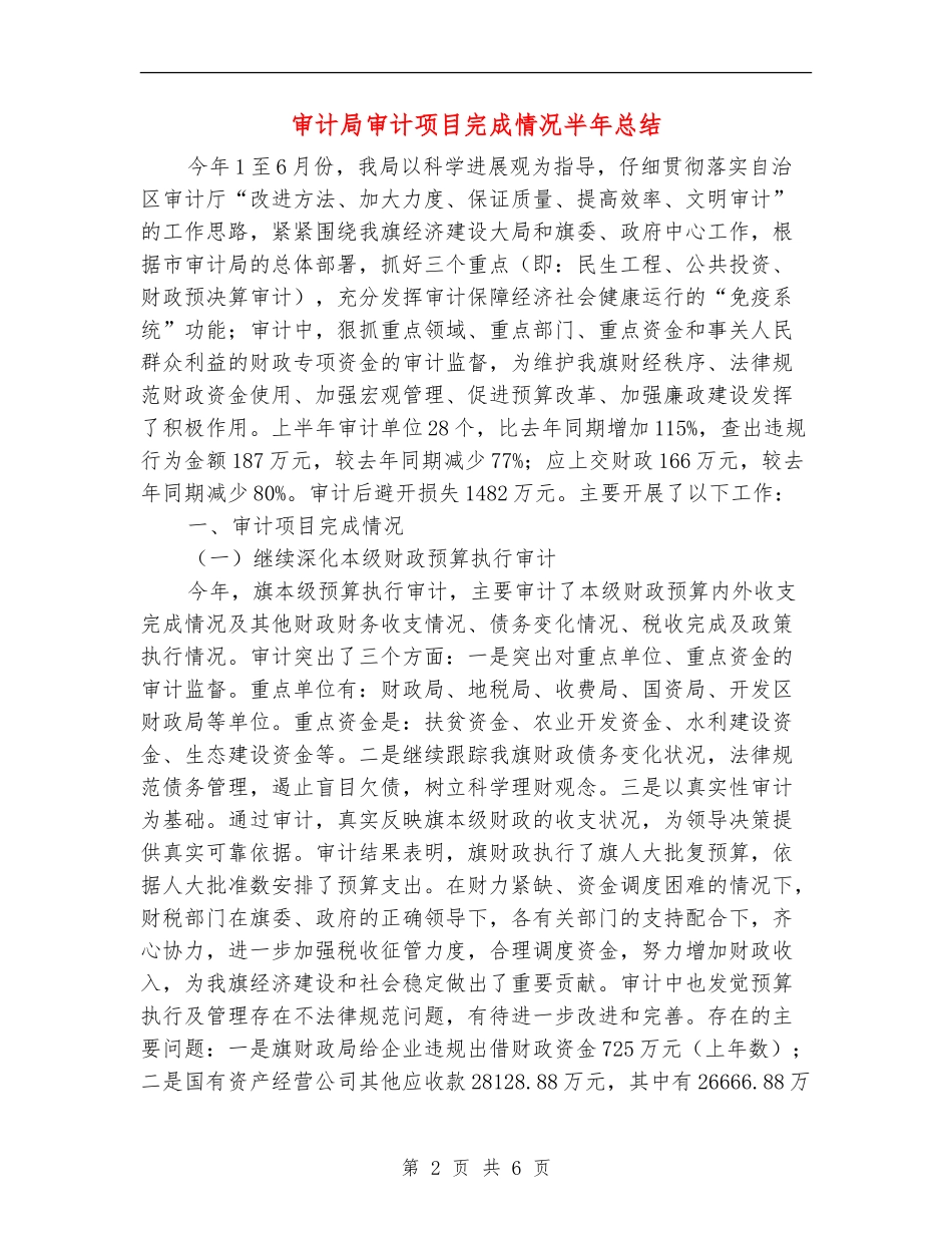 审计局审计项目完成情况半年总结_第2页