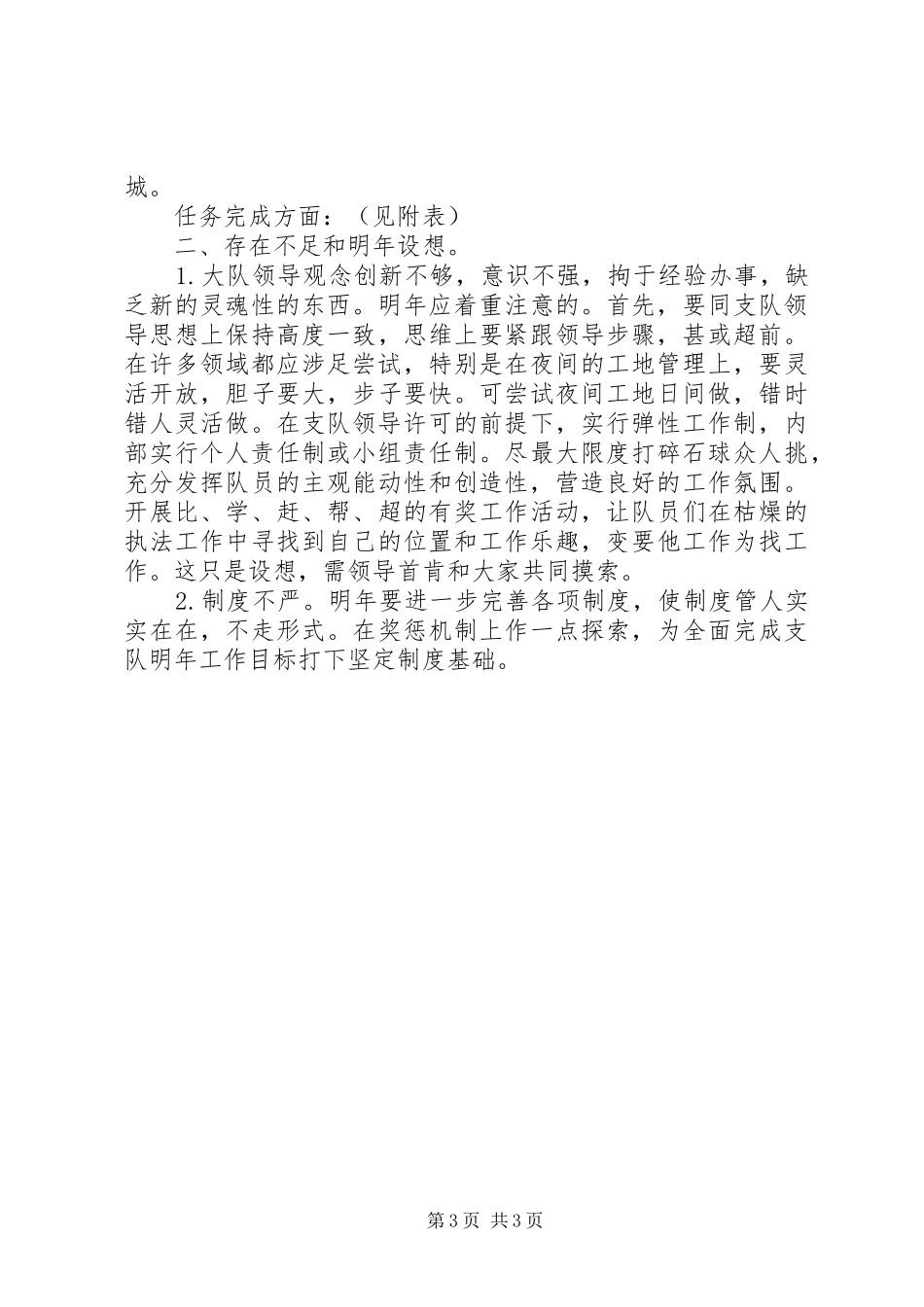 城管行政执法大队年度工作总结_第3页