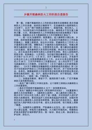 乡镇开展森林防火工作阶段自查报告