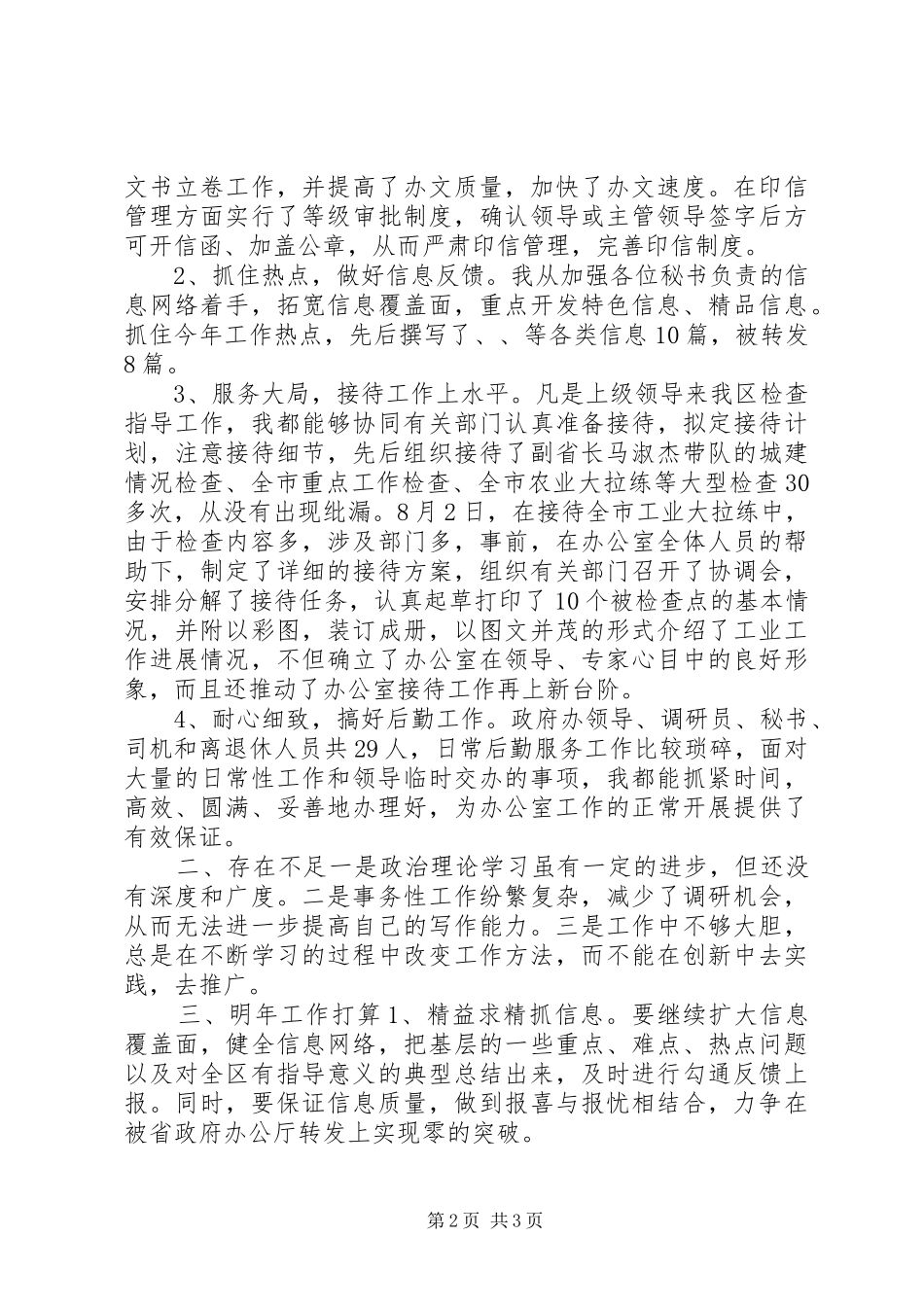 办公室文书兼政府接待个人工作总结_第2页