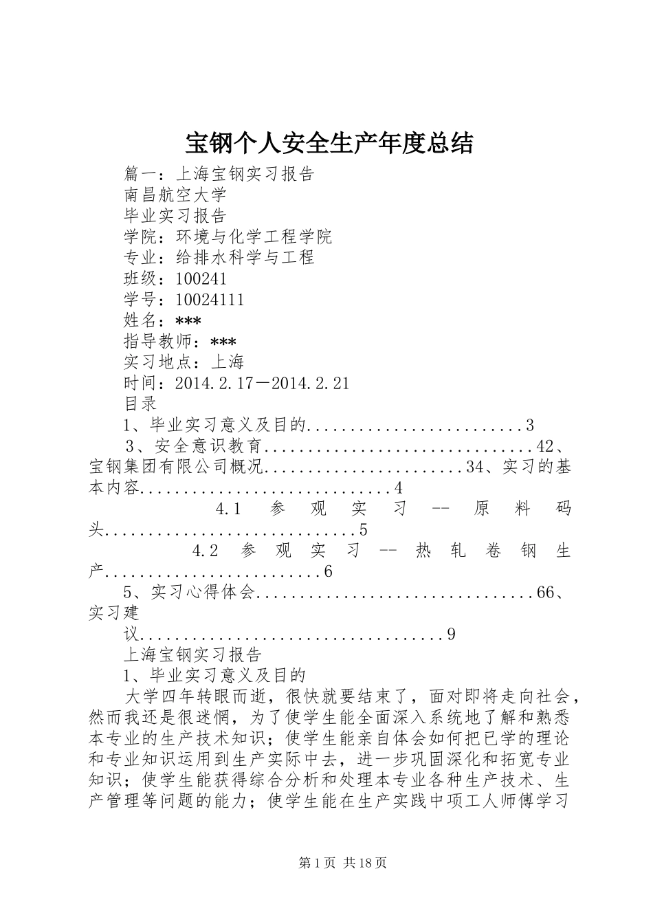 宝钢个人安全生产年度总结_第1页