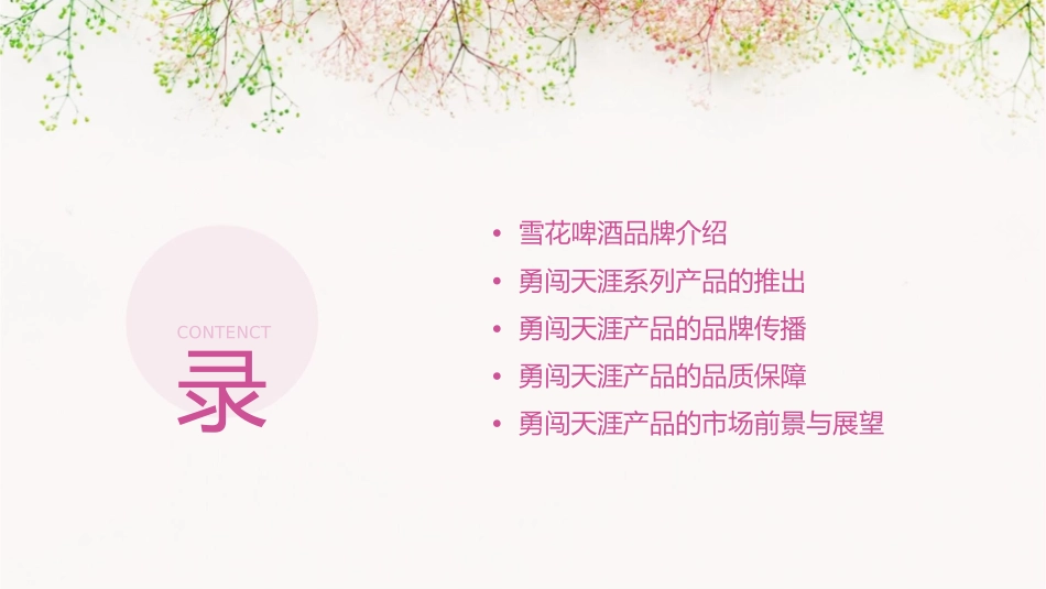 雪花啤酒勇闯天涯课件_第2页