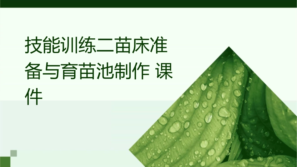 技能训练二苗床准备与育苗池制作课件_第1页
