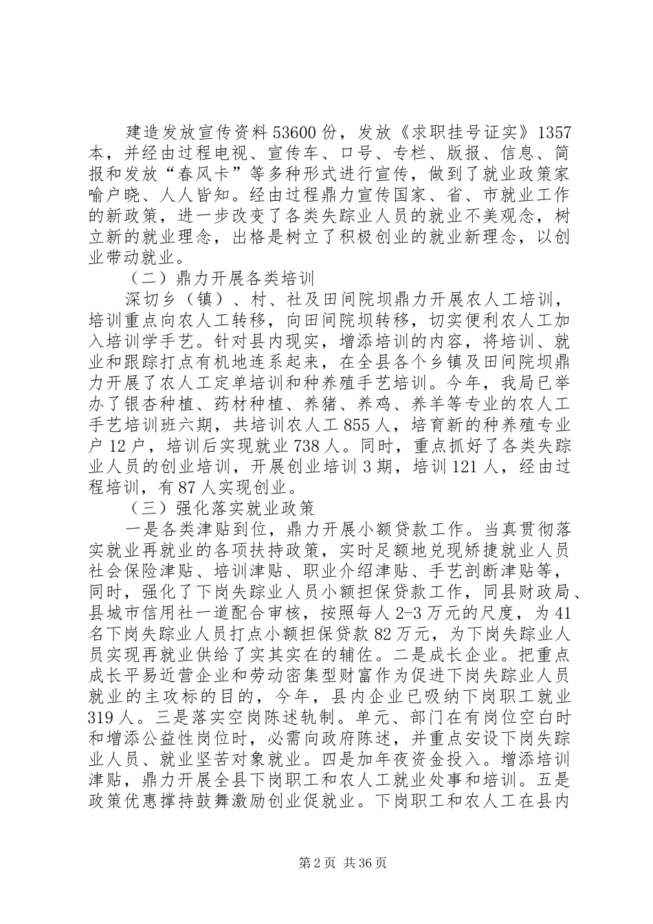 就业局年终总结_第2页