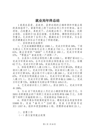 就业局年终总结