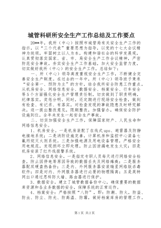 城管科研所安全生产工作总结及工作要点