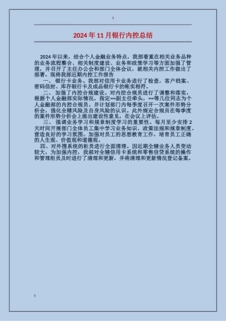 2024年11月银行内控总结