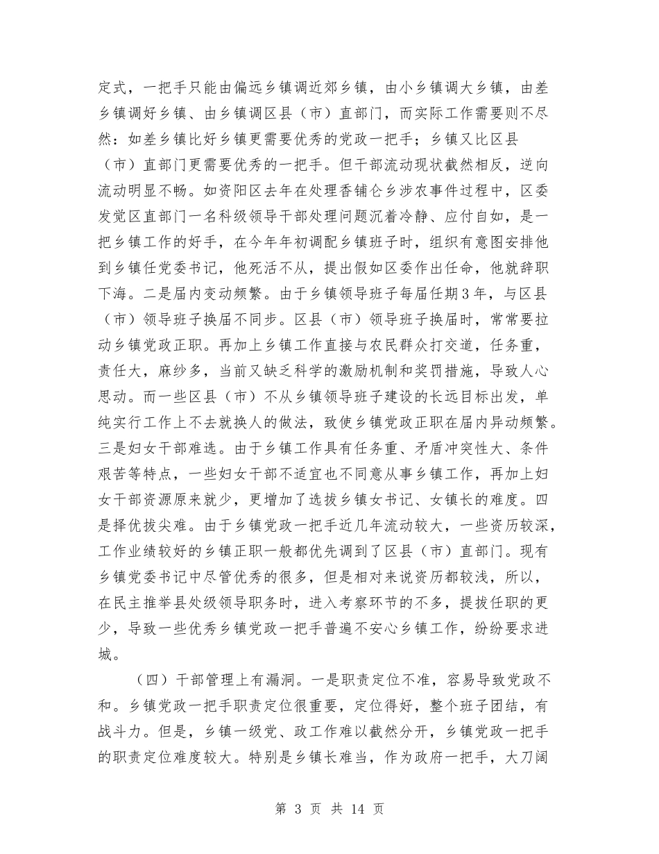乡镇街道党政管理报告_第3页