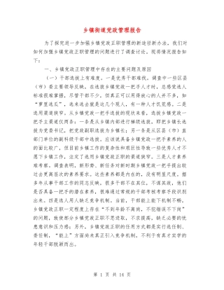 乡镇街道党政管理报告