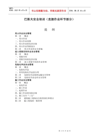 直接作业环节培训材料(巴斯夫)