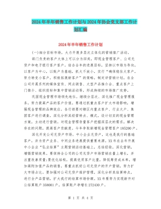 2024年半年销售工作计划与2024年协会党支部工作计划汇编